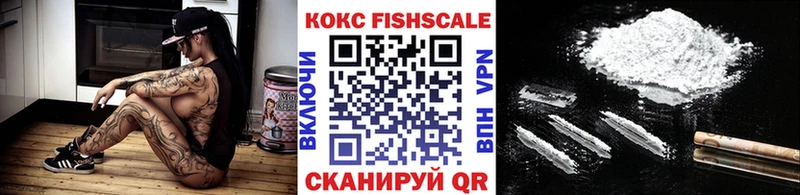 Cocaine FishScale  Купить  Видное 