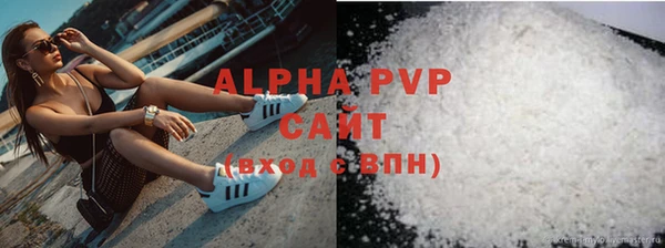 индика Зеленодольск