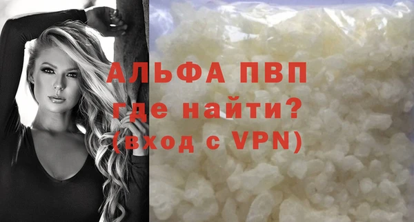 индика Зеленодольск