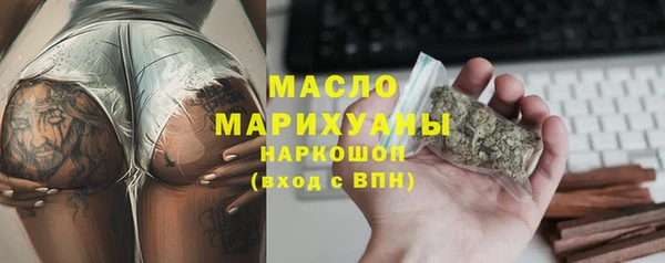 индика Зеленодольск
