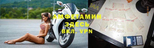 индика Зеленодольск