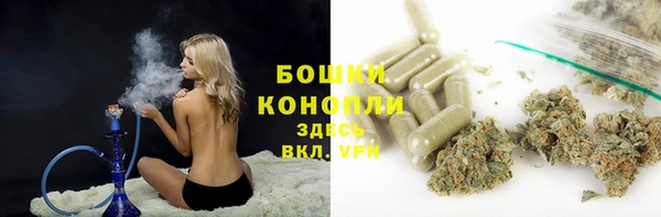 индика Зеленодольск