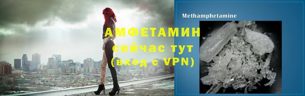 индика Зеленодольск