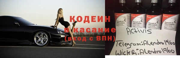 индика Зеленодольск