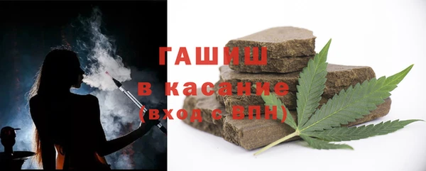 индика Зеленодольск