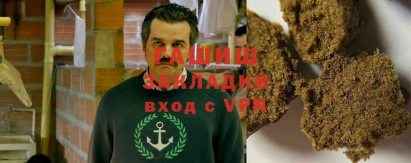 индика Зеленодольск