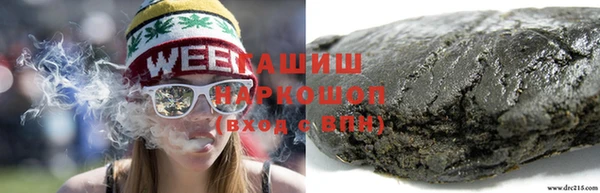 индика Зеленодольск