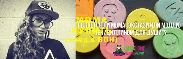 индика Зеленодольск